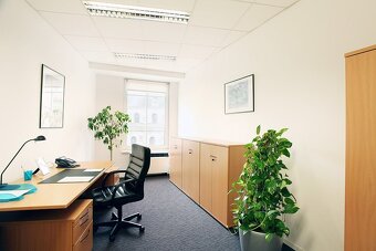 Pronájem kanceláře, 60 m2 - Praha - Nové Město - 15