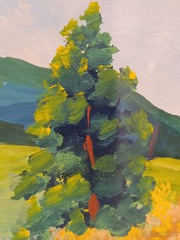 Obrazy 4ks Alois Kokáč, olej 50x70 - 15