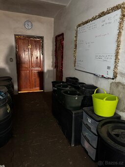 Ustájení koní - box - 15