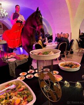 Extra Lusitano kobyla - 15