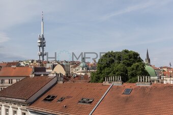 Pronájem bytu 1+kk,  34m² - Praha - Žižkov - 15