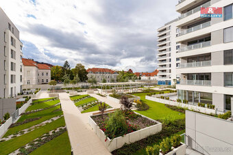 Pronájem bytu 2+kk, 55 m², Plzeň, ul. Stehlíkova - 15