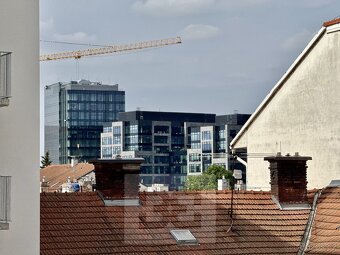 Pronájem byty 1+kk, 30 m2 - Brno - Trnitá, ev.č. N07955 - 15
