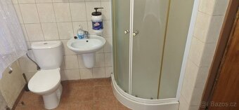 Pronájem Autoservisu Česky Brod - 15