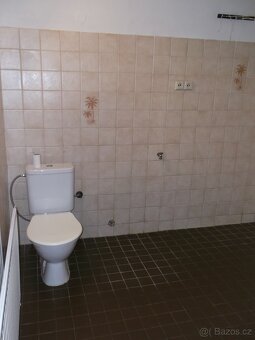Dům s dispozicí 4+1 a 1+kk - 15