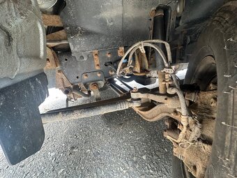 Renault přeprava zvířat - 15