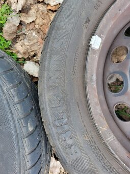 Pneumatiky 165/70 R 14 81T - Fiat - 15