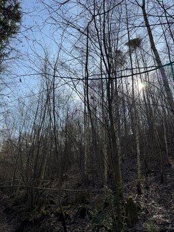 Prodám pozemky v katastrálním území Louňovice pod Blaníkem - 15