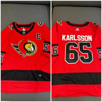 NHL dresy - 15