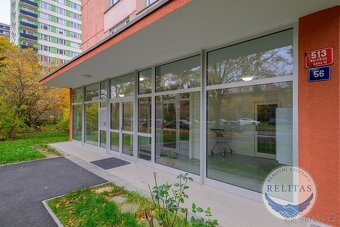 Pronájem bytu 1+kk 25 m² - 15