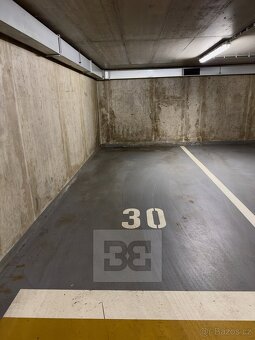 Pronájem jedinečného bytu 2+1, 85 m2 - Praha - Břevnov - 15