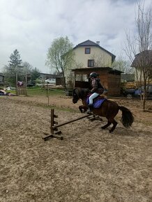 Nabízím vození na koních - 15