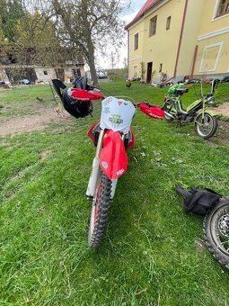 Diabolini MMR 250-2021 - 15