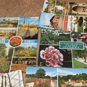 staré pohledy Olomouc výstava Flora - 15