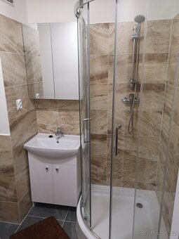 Byt 2+1+Balkon Rekonstrukce Zadní Vinohrady TOP Chom - 15