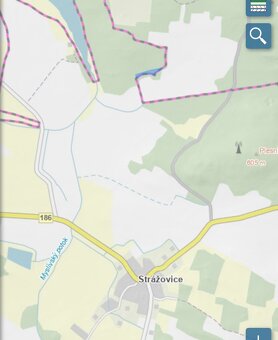 Lesní pozemek Strážovice u Pačejova - 15