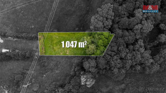 Prodej louky, 4178 m², Dětřichov - 15