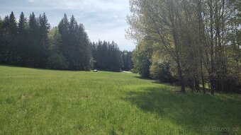 Prodej louky o celkové výměře 23 943 m2 nedaleko Frýdavy - 15