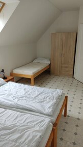 Pronájem rekreačního domku - Vranovská přehrada - Bítov - 15