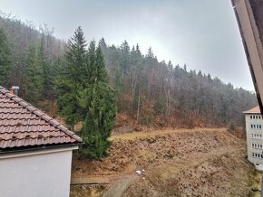 Prodej mezonetového bytu v Jáchymově - 15