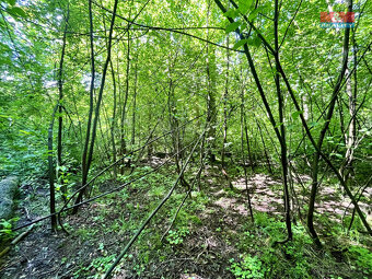 Prodej vodní plochy, 3255 m², Skalice u České Lípy - 15