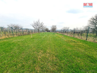 Prodej ovocného sadu, 4096 m², Starý Poddvorov - 15