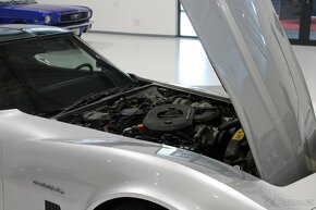 Corvette C3, 5.7L V8, 1982 - 15
