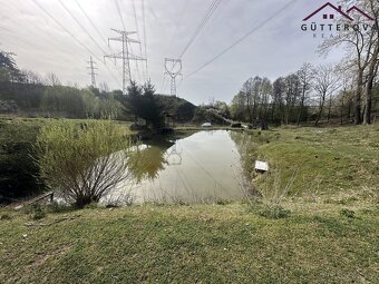 Prodej pozemků se dvěma rybníky, 15 233 m2 - Hradec u Stoda - 15