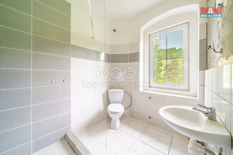 Prodej chalupy, 220 m², Jáchymov - Suchá - 15