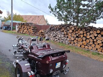 BOOM Mustang  Family 1.6,85kw Automat motor Peugot - 15