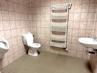 Pronájem komerční prostory, Frenštát pod Radhoštěm - 15