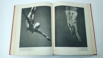 Schönheit im Olympischen Kampf, Olympia 1936 - 15