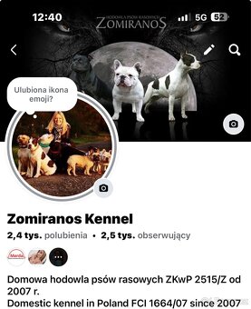 Stafordšírský bulteriér s PP- fenka YIN YANG - 15