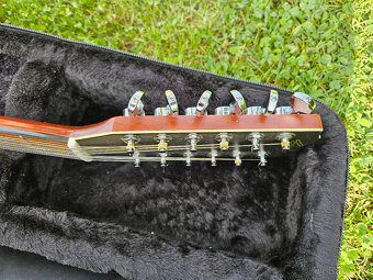 Dvanactistrunná celomasivní akustická kytara FURCH - 15
