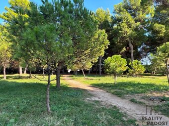 Byt 3+KK, 46 m², Via Lago di Bomba, Montesilvano - 15