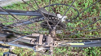 GT Chucker 1.0 2007 - 15