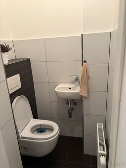 Pronájem bytu 2+1, Žižkov, se zahrádkou - 15