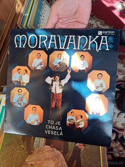 Desky, více jak 150 ks, pop, country, dechovka - 15