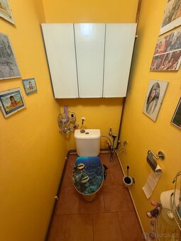 Rodinný dům 120m2, pozemek 818 m2 - 15