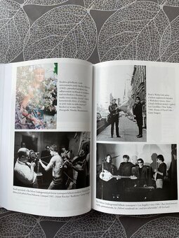 Nová kniha Lou Reed - Život - Anthony DeCurtis - 15