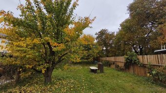 Prvorepubliková vila s třemi bytovými jednotkami, Lovosice,  - 15