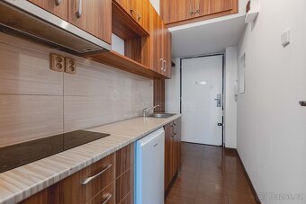 Krásný byt 1+kk /T, 28 m2 + 10 m2, přímo u Václavského náměs - 15