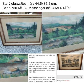Staré obrazy .Ceny a rozměry viz fota. - 15