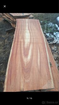 Fošny jasan,modřín ,XXL fošny - 15