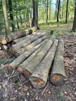 Prodej palivového dřeva - 15