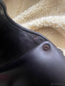 Drezurní Childéric 17,5 - 15