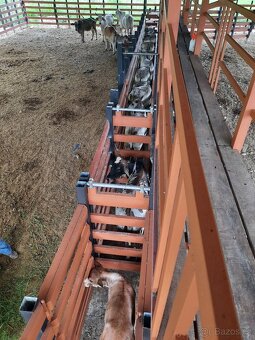 Farma Kostarika Guayacará 152 Ha - 15