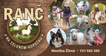 Nabídka ustájení 24/7 - 15