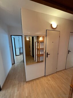 Pronájem 3+1, 80m2, 11 patro, Slezske - 15