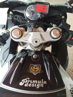 Aprilia RS 125 Replica GP R.V.2017 - 15
